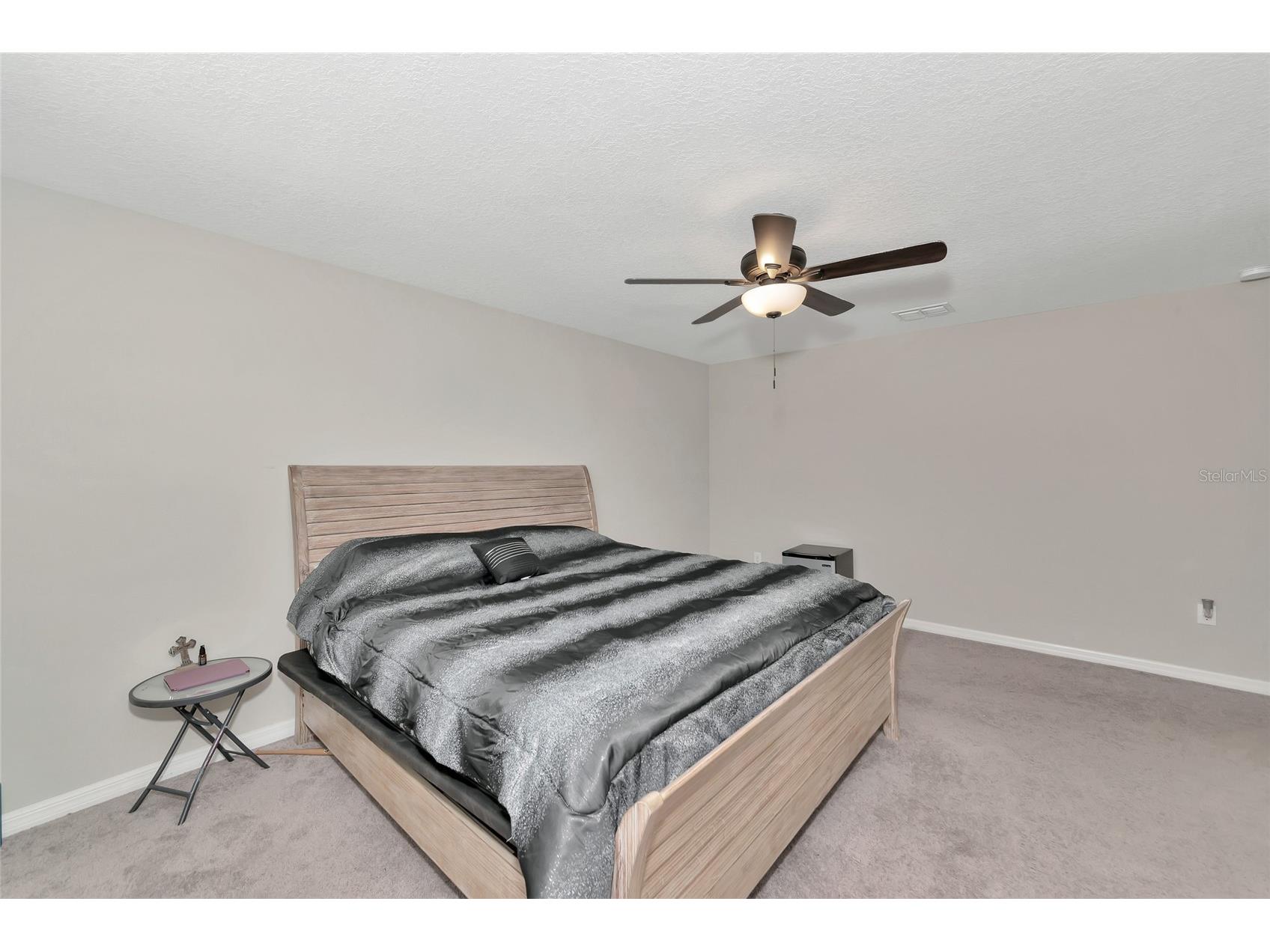 17009 Peaceful Valley Drive Wimauma FL 33598 A4687607 image28