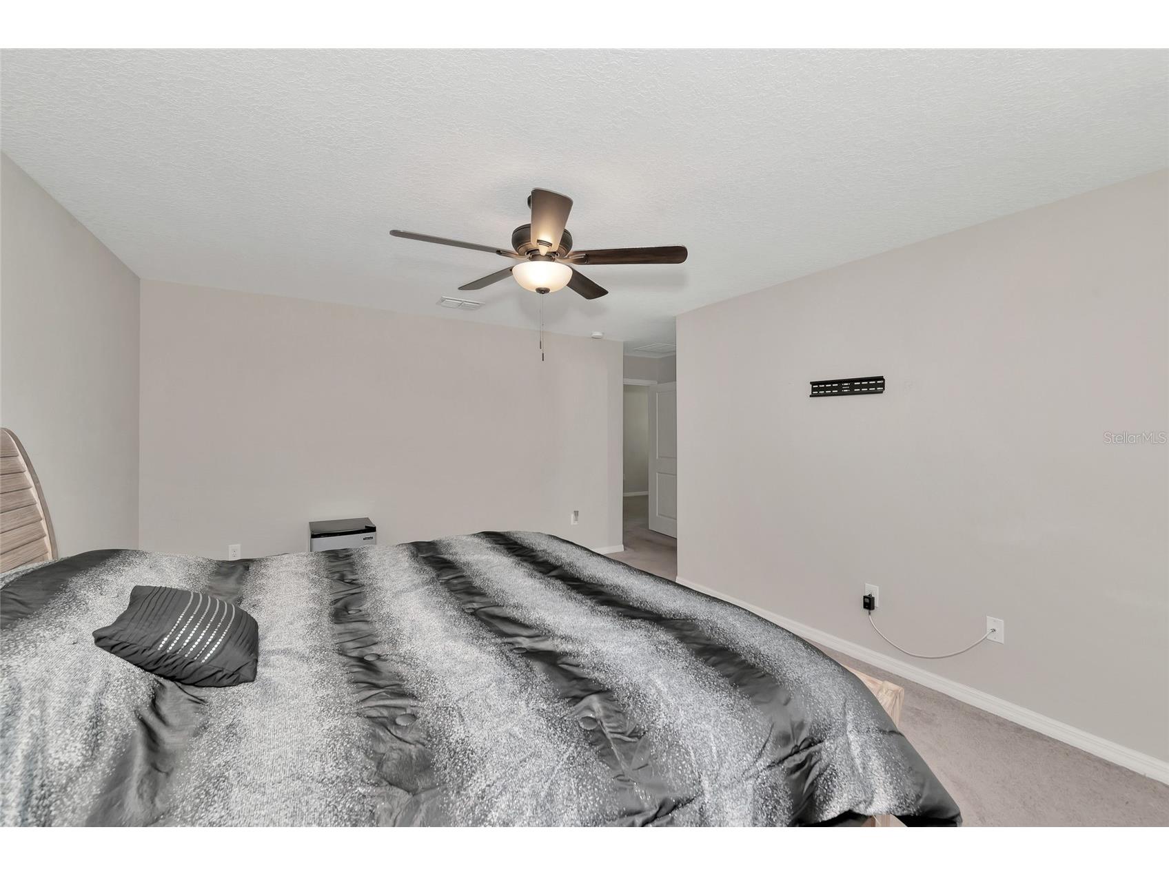 17009 Peaceful Valley Drive Wimauma FL 33598 A4687607 image29