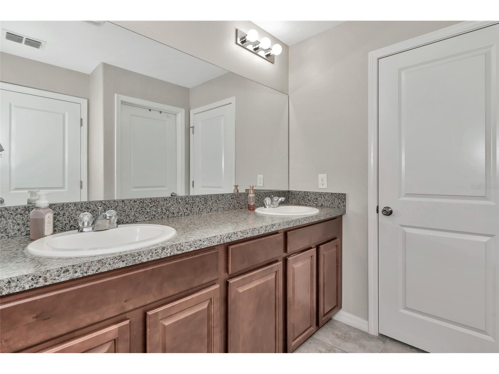 17009 Peaceful Valley Drive Wimauma FL 33598 A4687607 image30