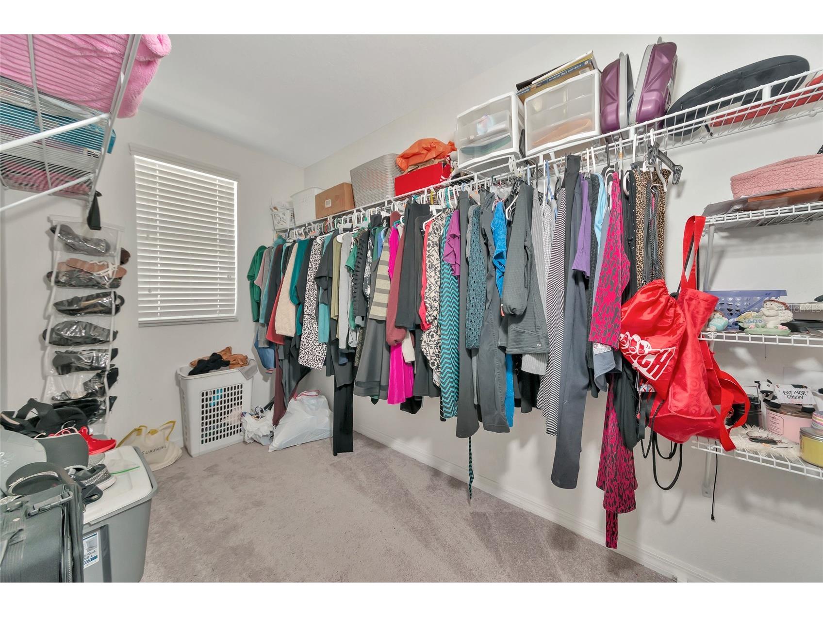 17009 Peaceful Valley Drive Wimauma FL 33598 A4687607 image35