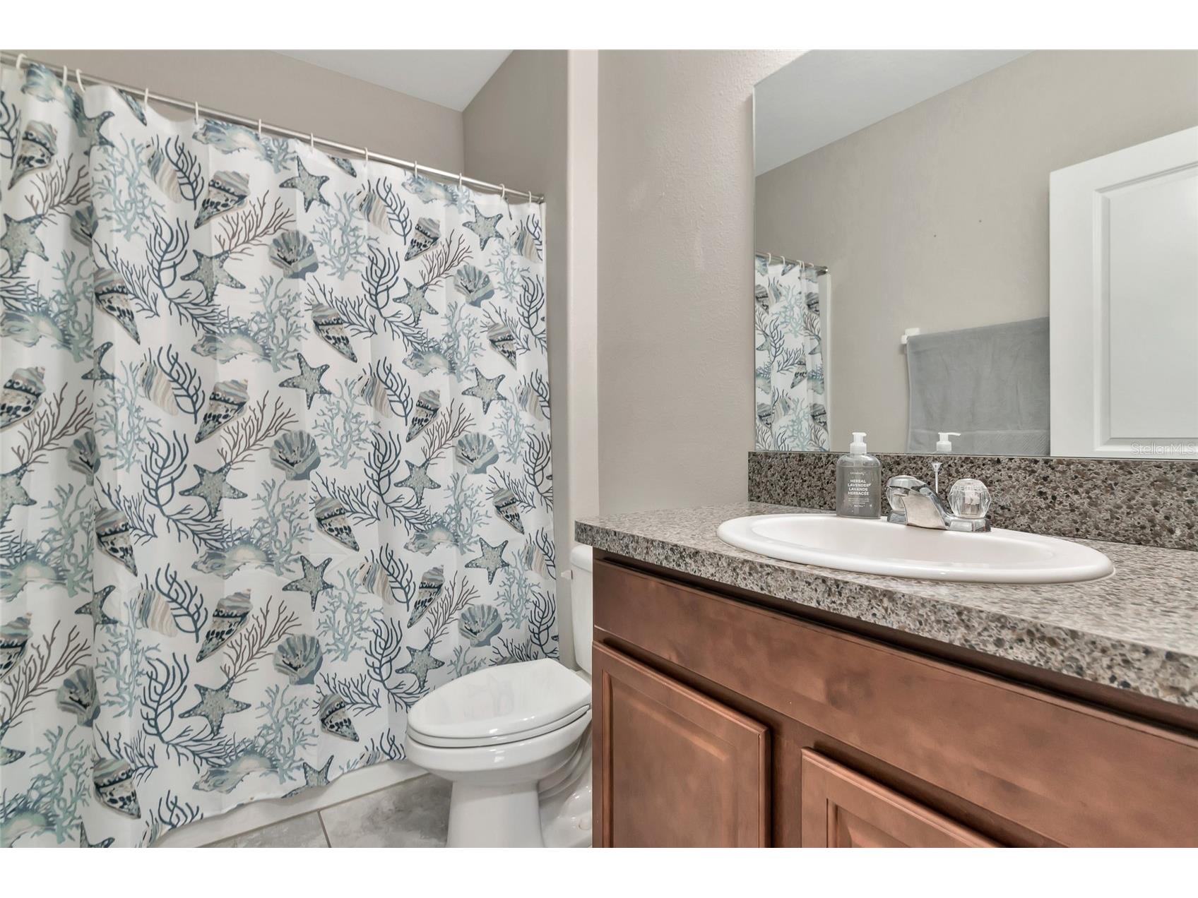 17009 Peaceful Valley Drive Wimauma FL 33598 A4687607 image41