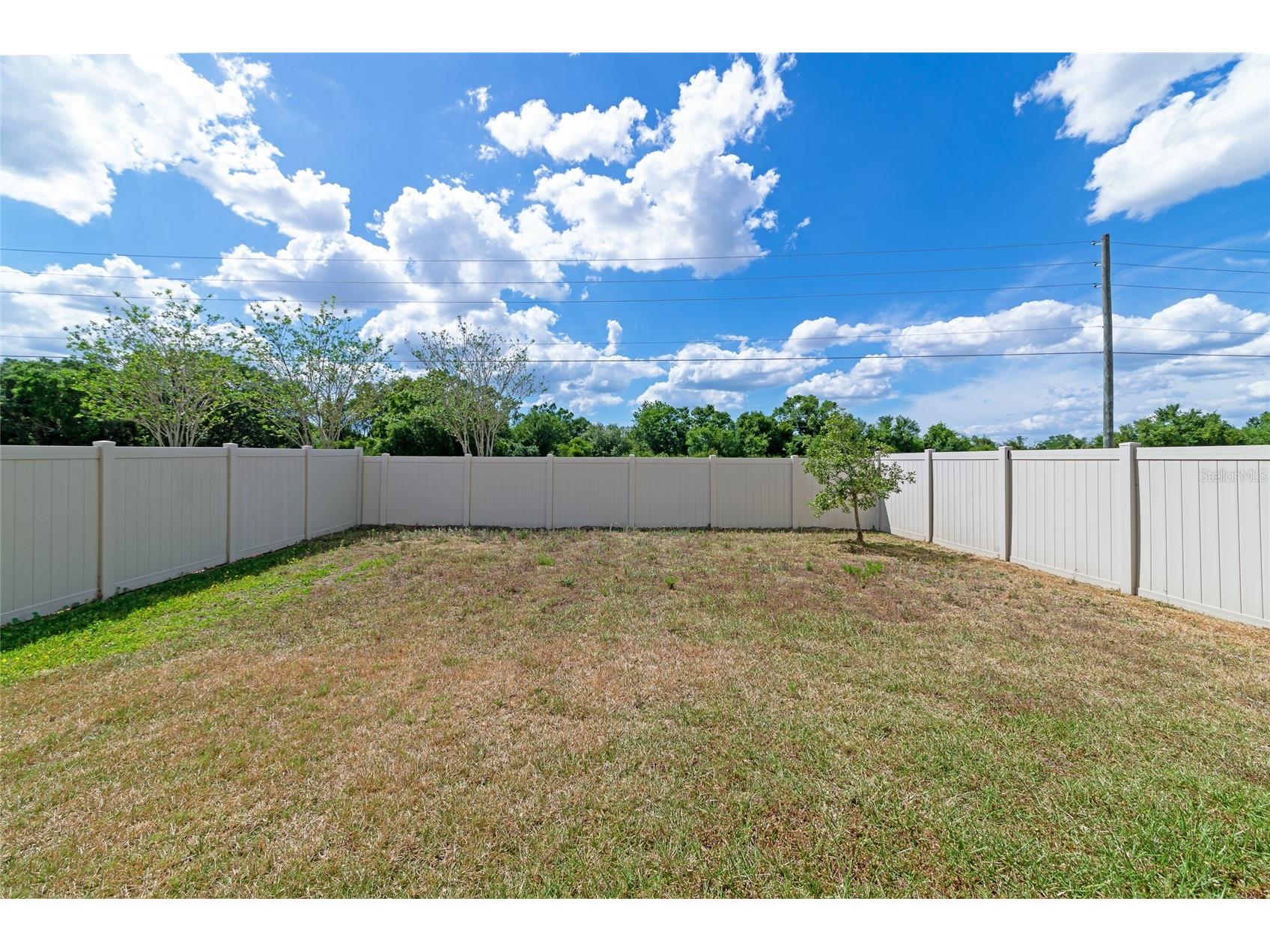 17009 Peaceful Valley Drive Wimauma FL 33598 A4687607 image42