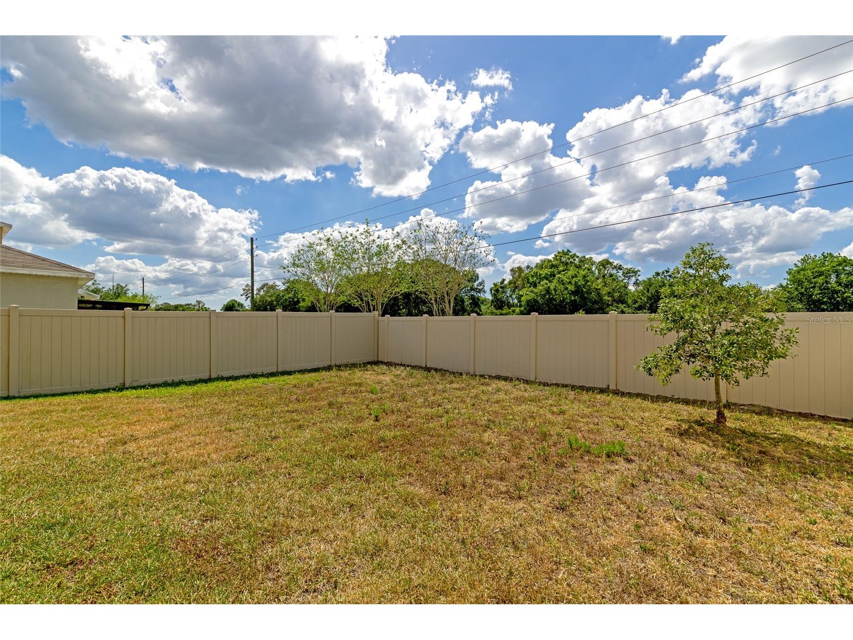 17009 Peaceful Valley Drive Wimauma FL 33598 A4687607 image45