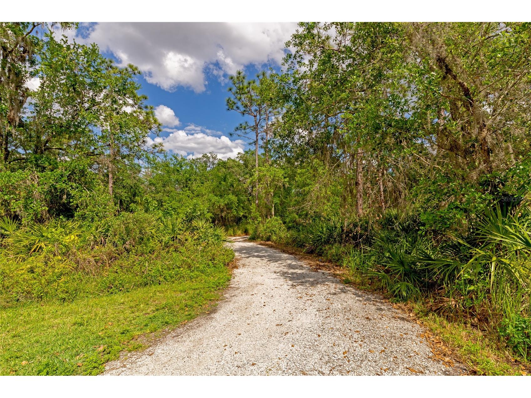 17009 Peaceful Valley Drive Wimauma FL 33598 A4687607 image50