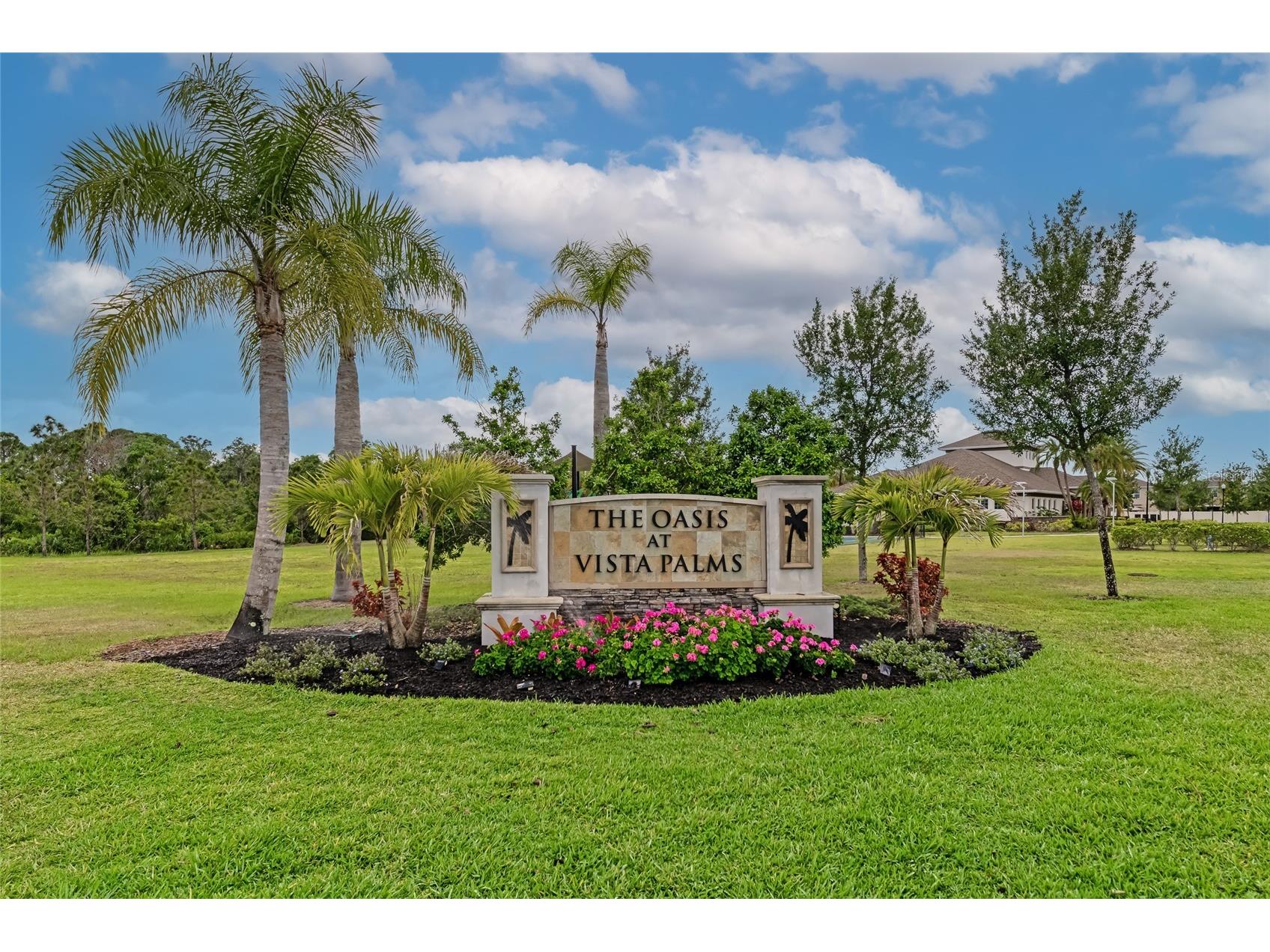 17009 Peaceful Valley Drive Wimauma FL 33598 A4687607 image53