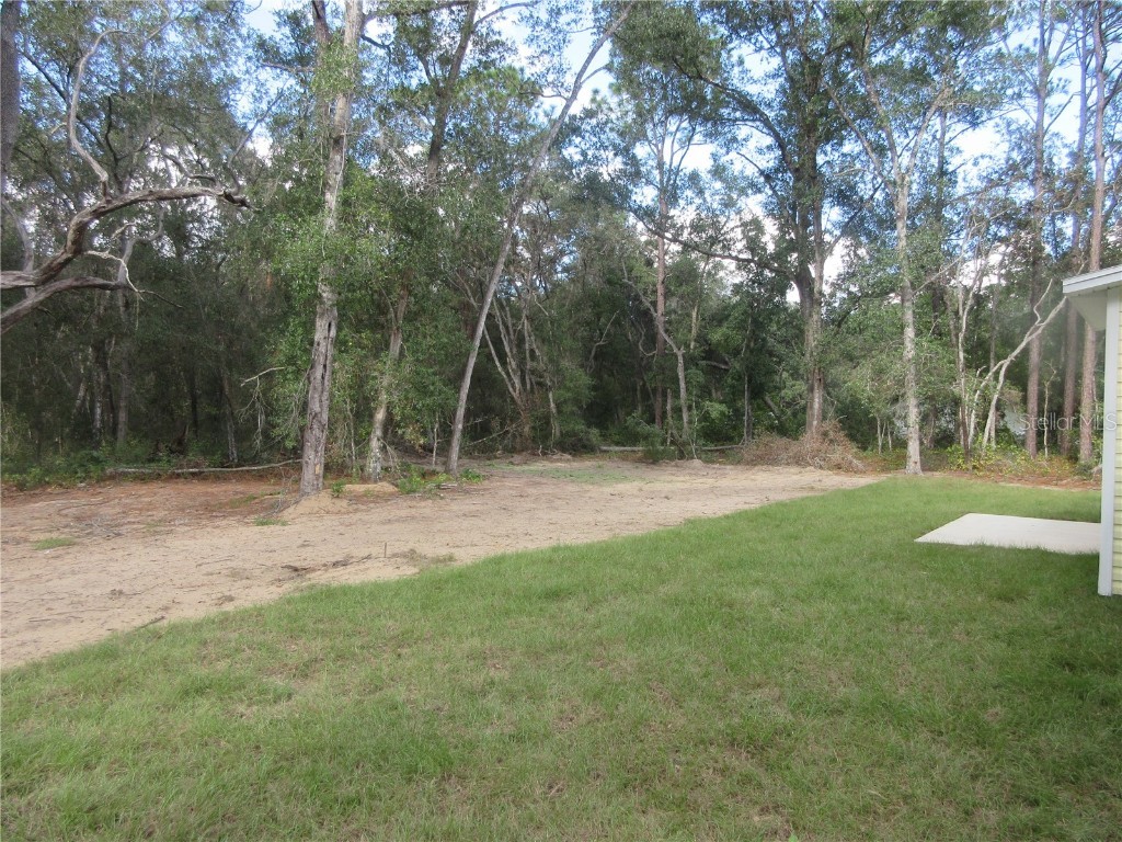 17009 SE 60th Street Ocklawaha FL 32179 OM703379 image5