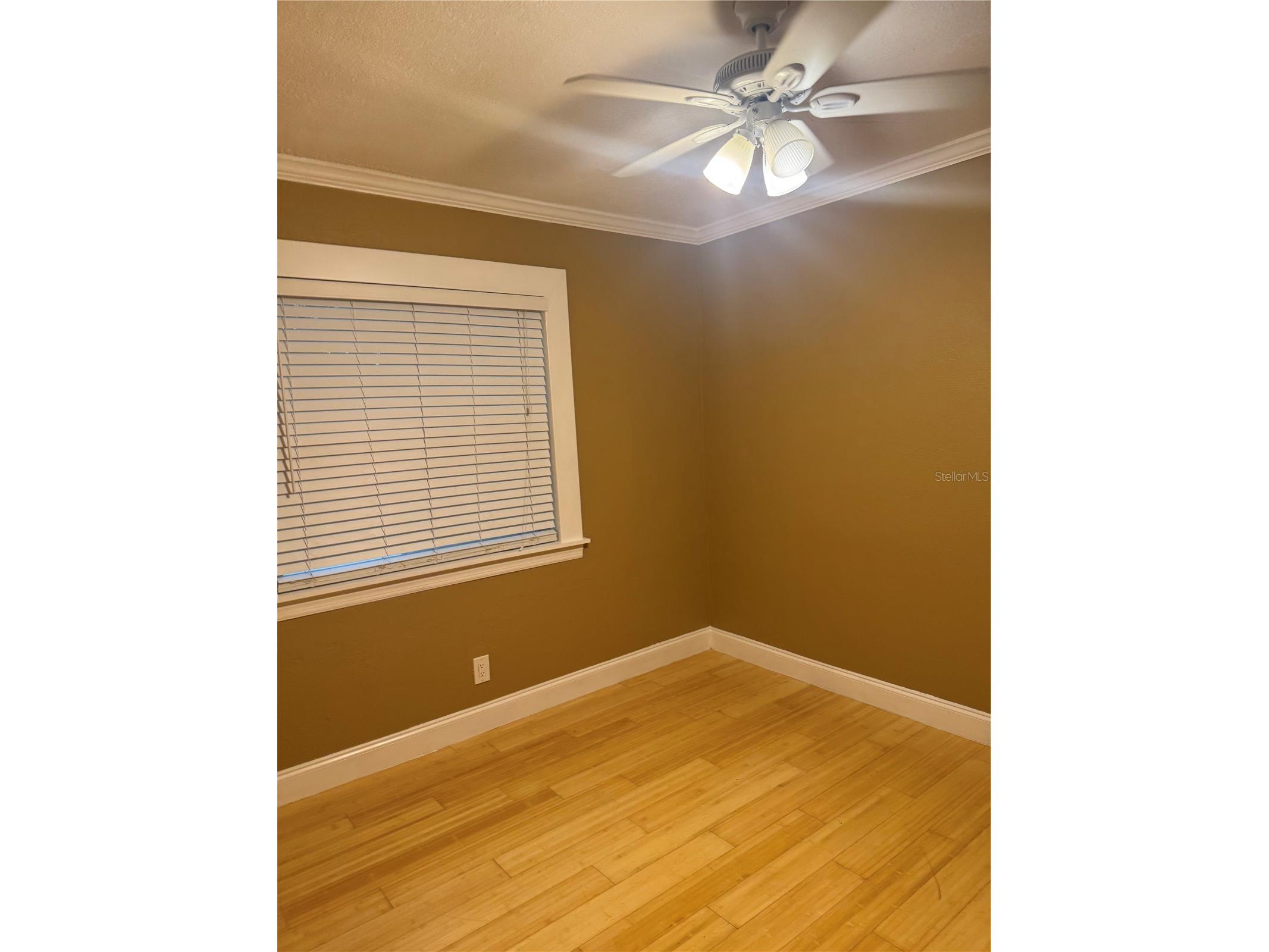 1701 53rd Street S Gulfport FL 33707 TB8513360 image8