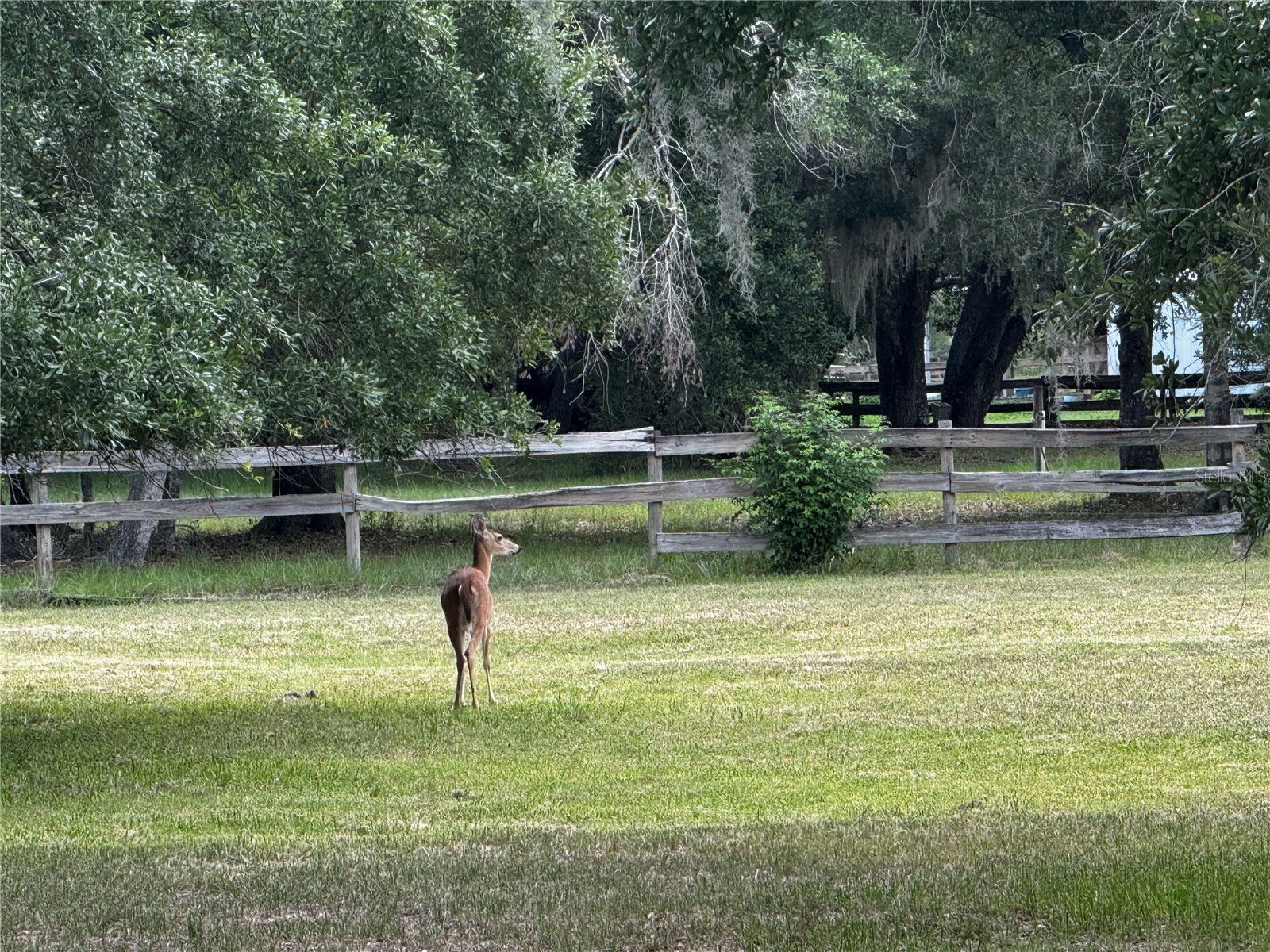 1701 Bern Creek Loop Sarasota FL 34240 A4695661 image14