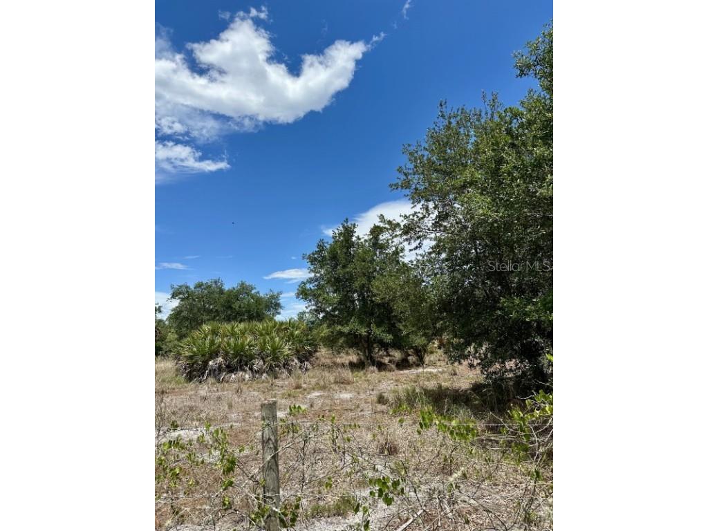 1701 Cabbage Wood Road Okeechobee FL 34974 A4672348 image10