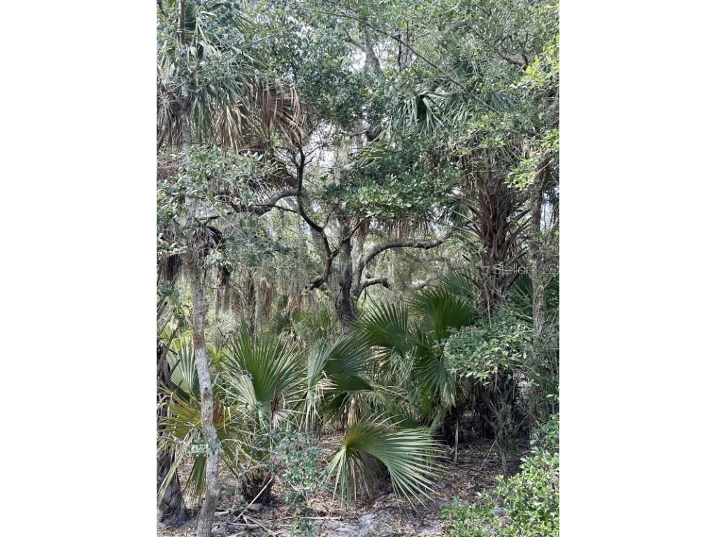 1701 Cabbage Wood Road Okeechobee FL 34974 A4672348 image13