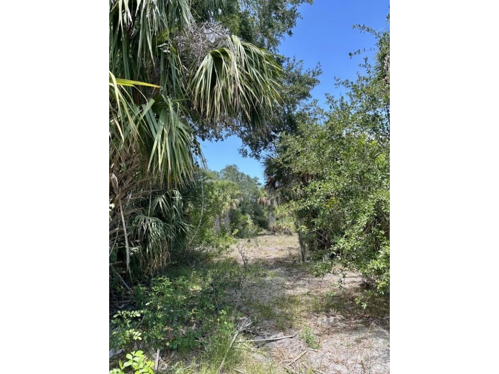 1701 Cabbage Wood Road Okeechobee FL 34974 A4672348 image15