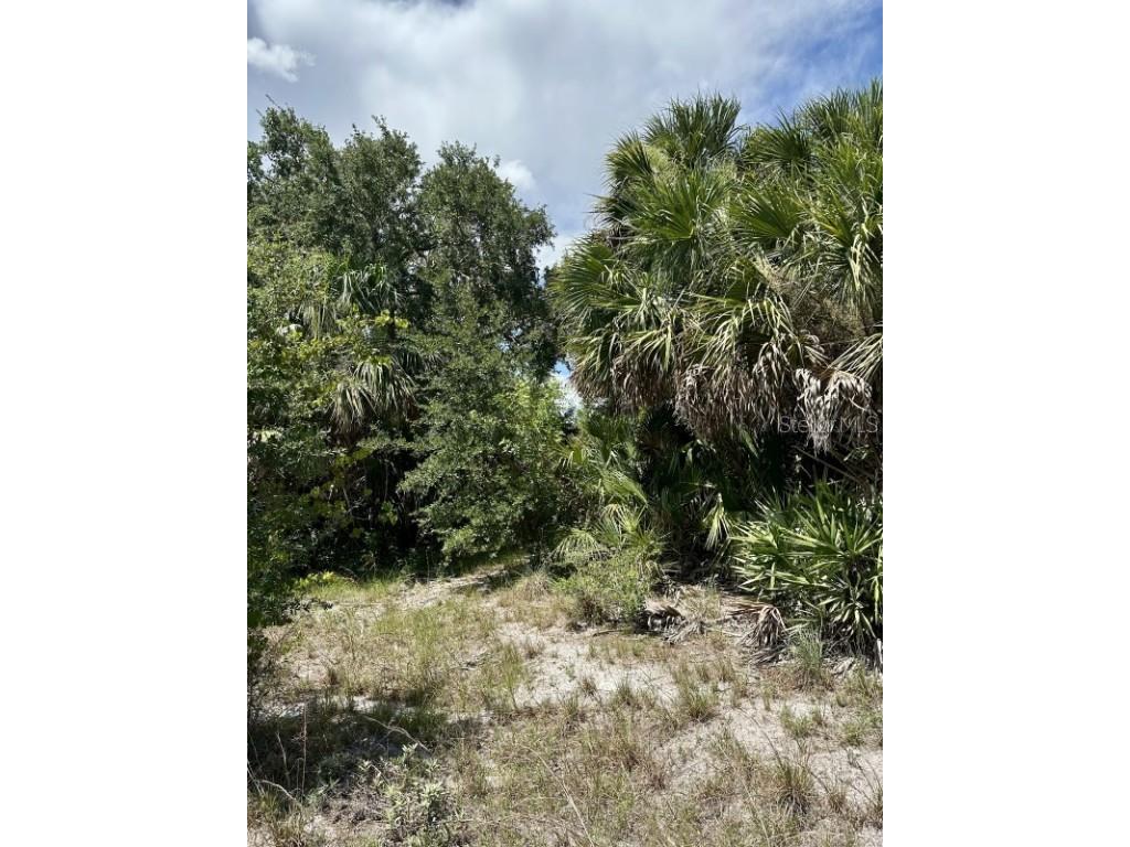 1701 Cabbage Wood Road Okeechobee FL 34974 A4672348 image16