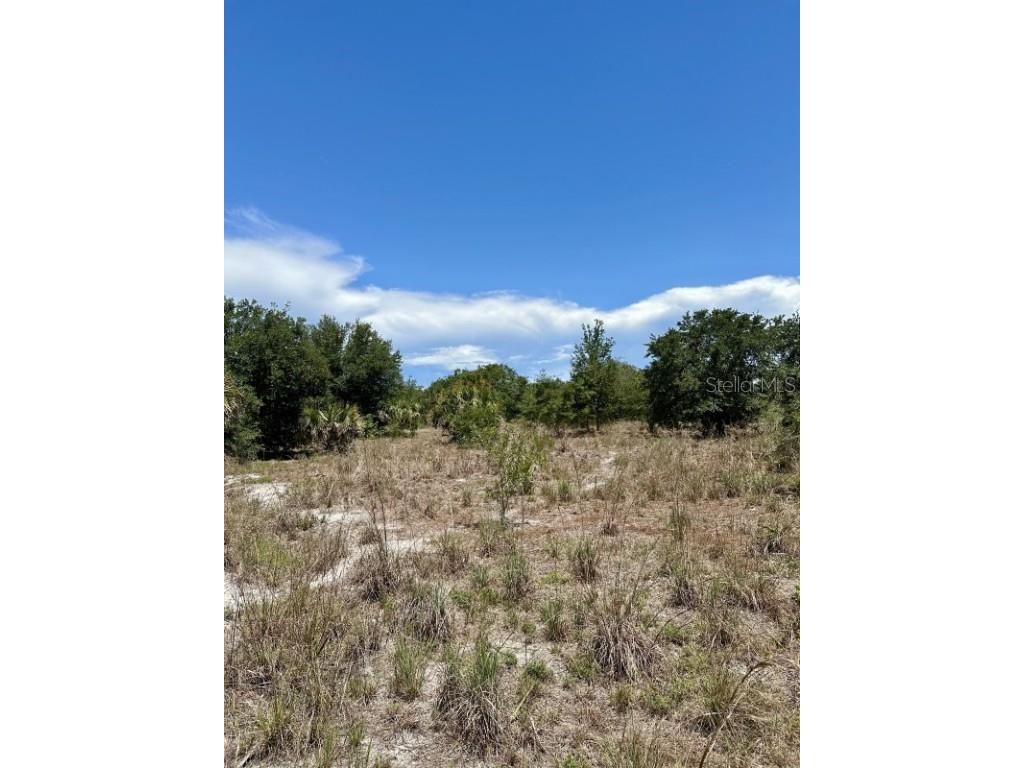 1701 Cabbage Wood Road Okeechobee FL 34974 A4672348 image17