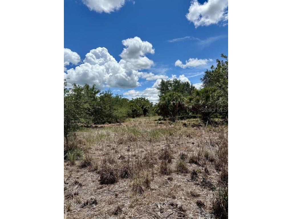 1701 Cabbage Wood Road Okeechobee FL 34974 A4672348 image2