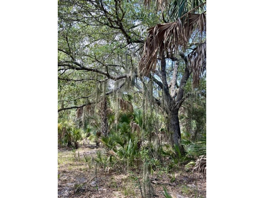 1701 Cabbage Wood Road Okeechobee FL 34974 A4672348 image20