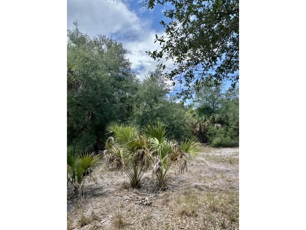 1701 Cabbage Wood Road Okeechobee FL 34974 A4672348 image21