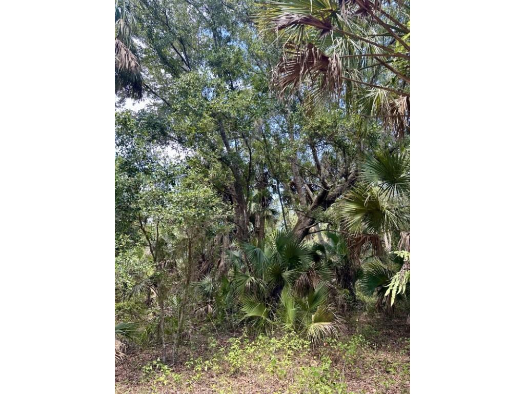 1701 Cabbage Wood Road Okeechobee FL 34974 A4672348 image23