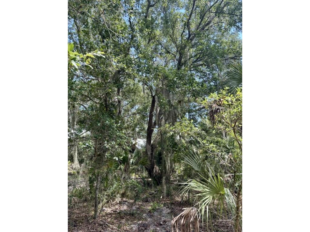 1701 Cabbage Wood Road Okeechobee FL 34974 A4672348 image24