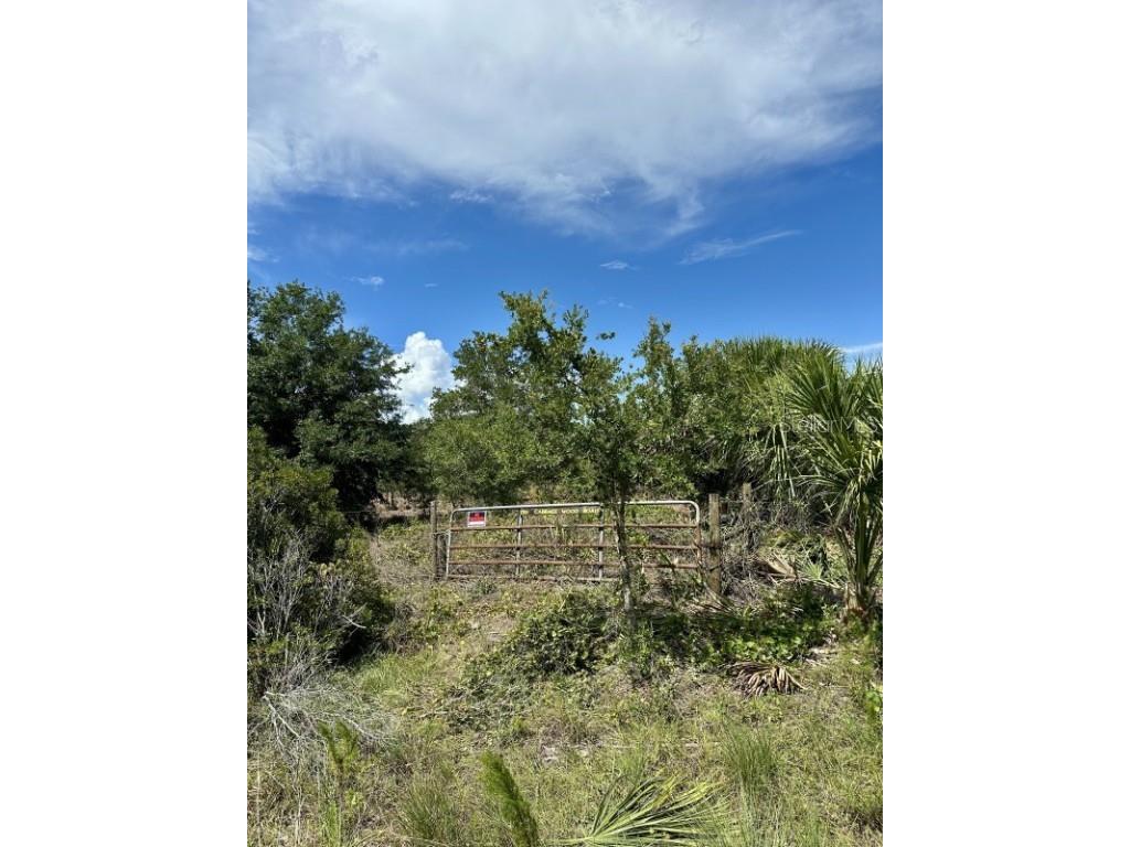 1701 Cabbage Wood Road Okeechobee FL 34974 A4672348 image5