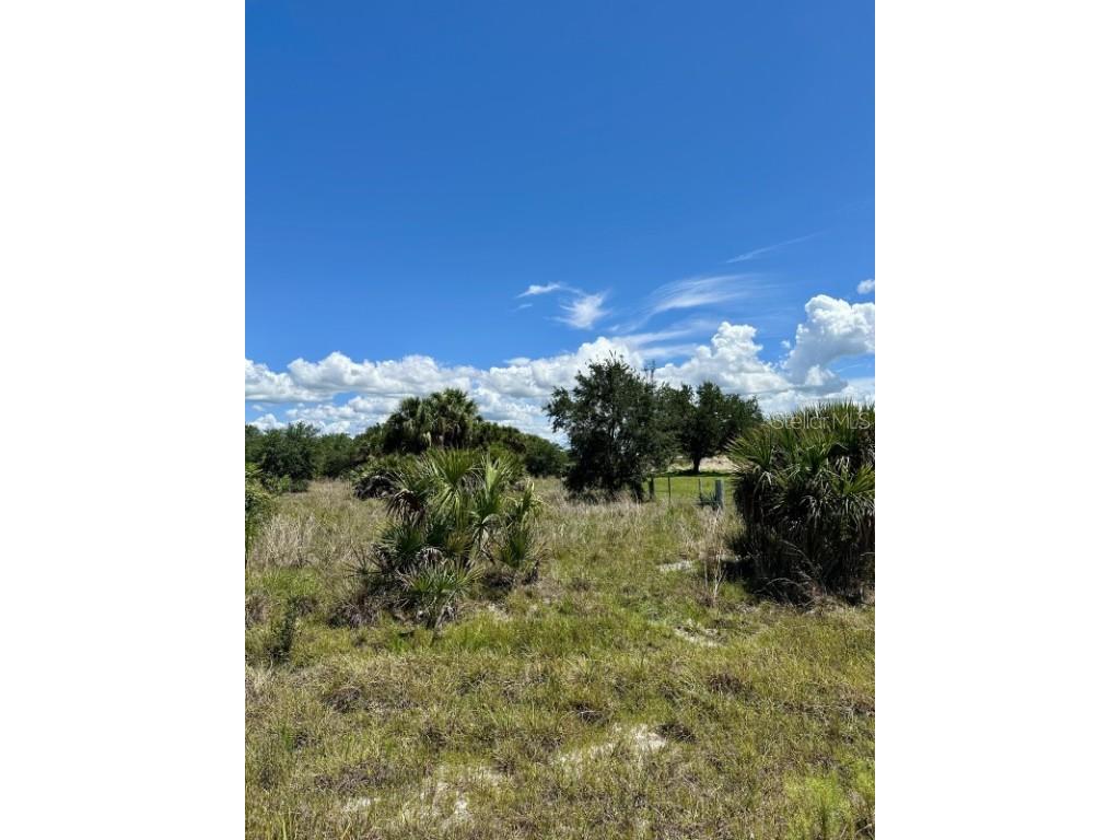 1701 Cabbage Wood Road Okeechobee FL 34974 A4672348 image7