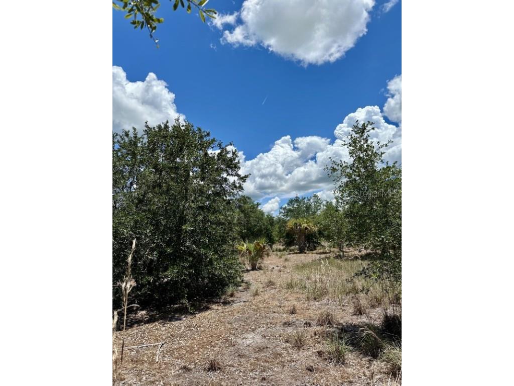 1701 Cabbage Wood Road Okeechobee FL 34974 A4672348 image9