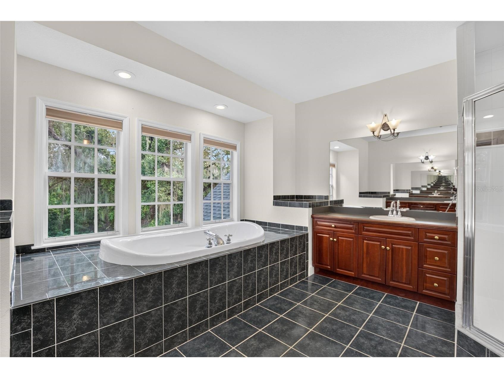 1701 Cottage Oaks Court Brandon FL 33510 TB8531727 image31