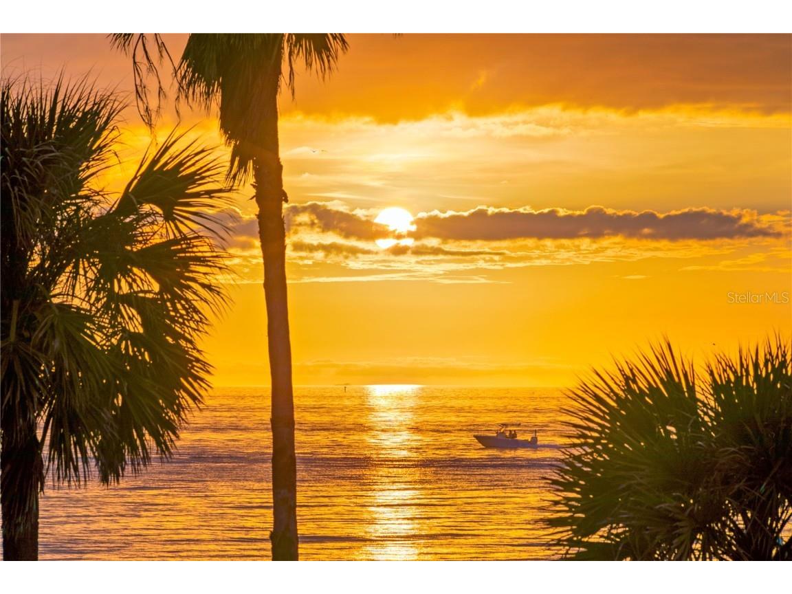 1701 Gulf Way #S2 Saint Petersburg FL 33706 TB8439060 image3