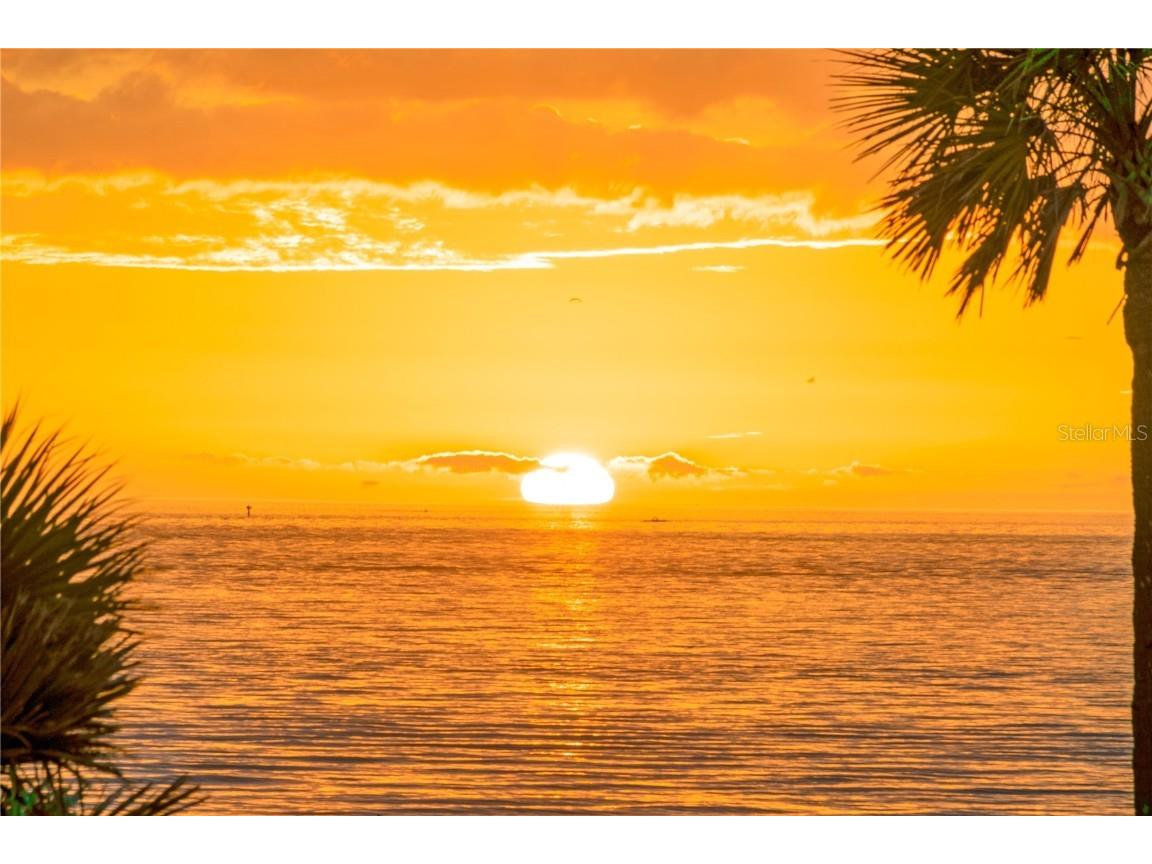 1701 Gulf Way #S2 Saint Petersburg FL 33706 TB8439060 image32