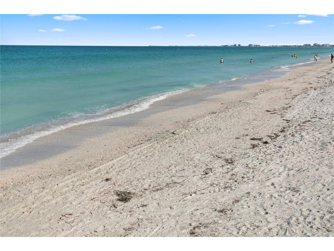 1701 Gulf Way #S2 Saint Petersburg FL 33706 TB8439060 image38