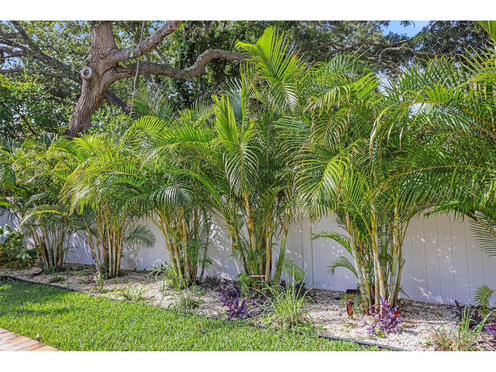 1701 Indian Rocks Road Belleair FL 33756 TB8513321 image62