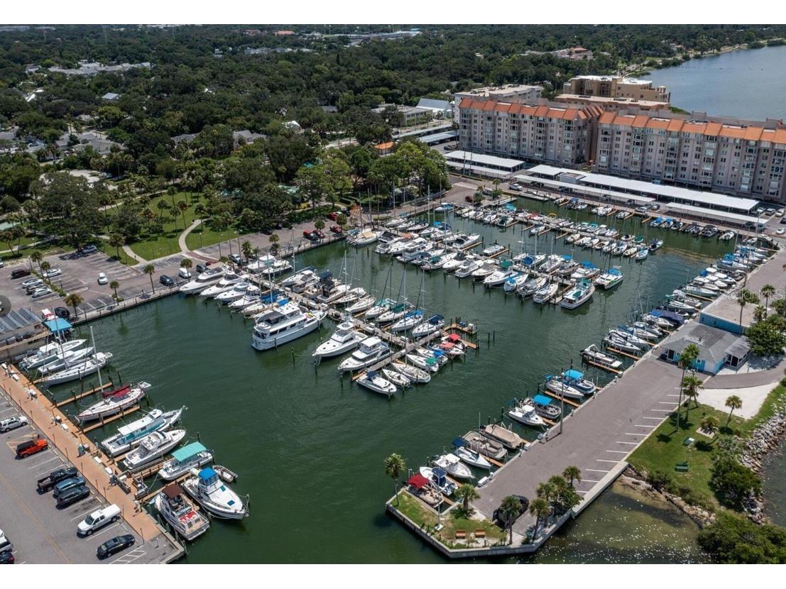 1701 Pinehurst Road #16C Dunedin FL 34698 TB8387879 image26