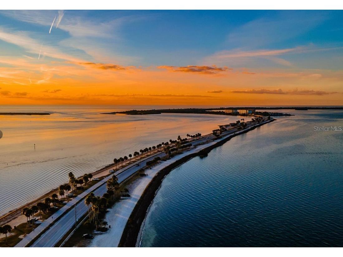 1701 Pinehurst Road #16C Dunedin FL 34698 TB8387879 image27