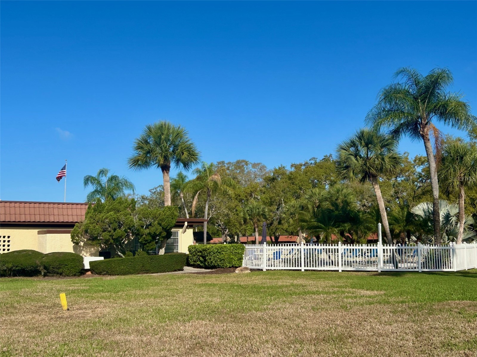 1701 Pinehurst Road #18C Dunedin FL 34698 TB8486083 image15