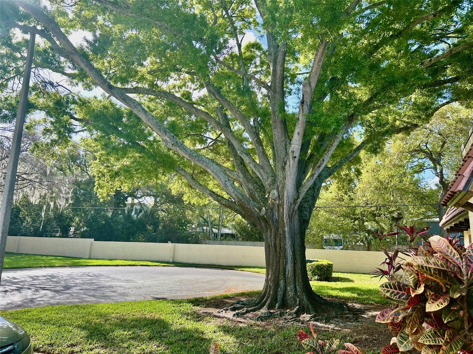 1701 Pinehurst Road #18C Dunedin FL 34698 TB8486083 image17