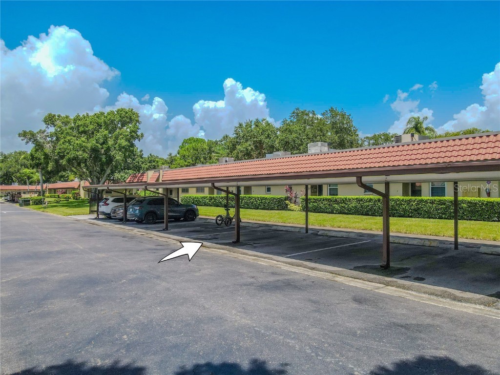 1701 Pinehurst Road #19F Dunedin FL 34698 TB8410868 image25
