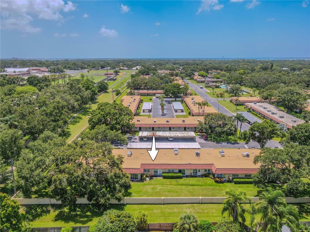 1701 Pinehurst Road #19F Dunedin FL 34698 TB8410868 image27