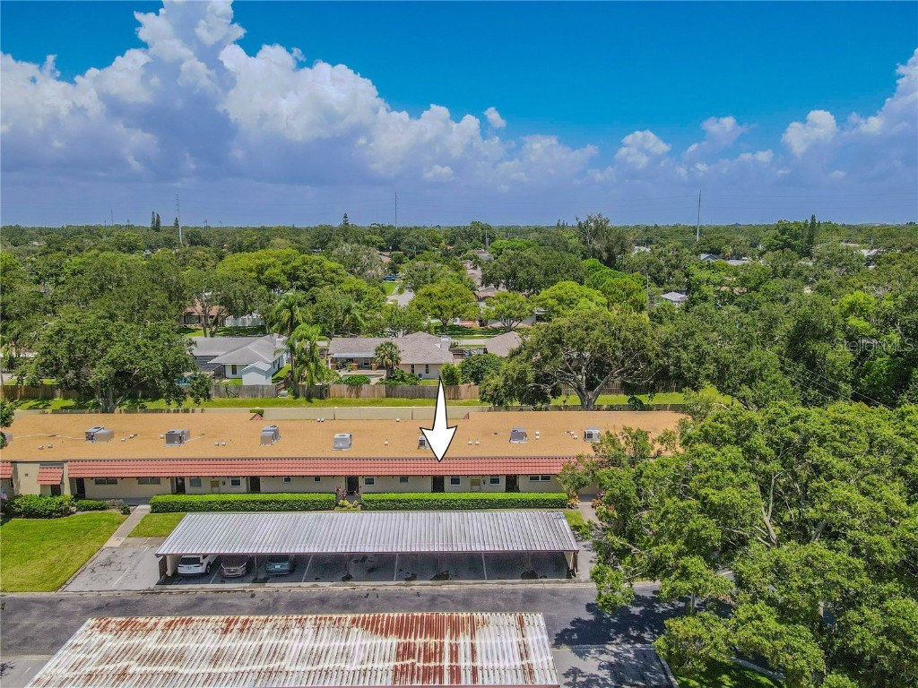 1701 Pinehurst Road #19F Dunedin FL 34698 TB8410868 image28