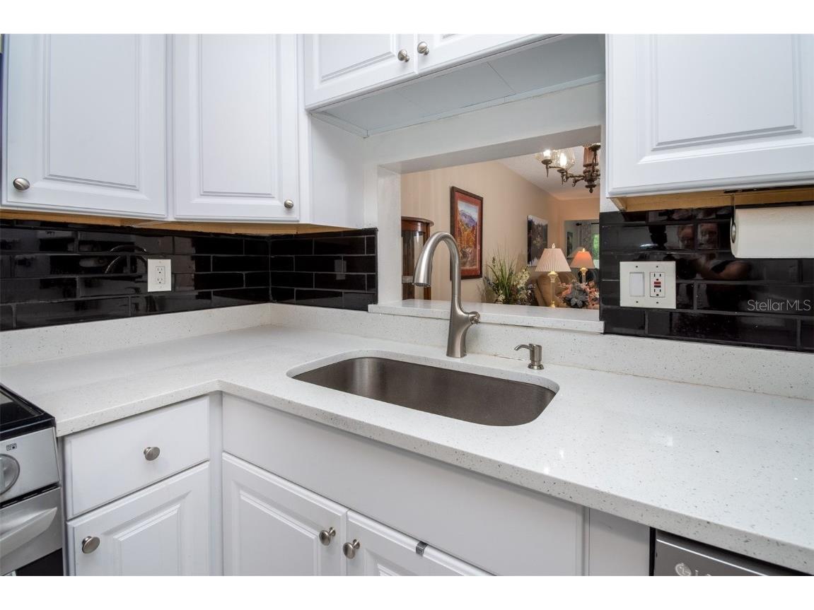 1701 Pinehurst Road #24B Dunedin FL 34698 TB8403898 image12