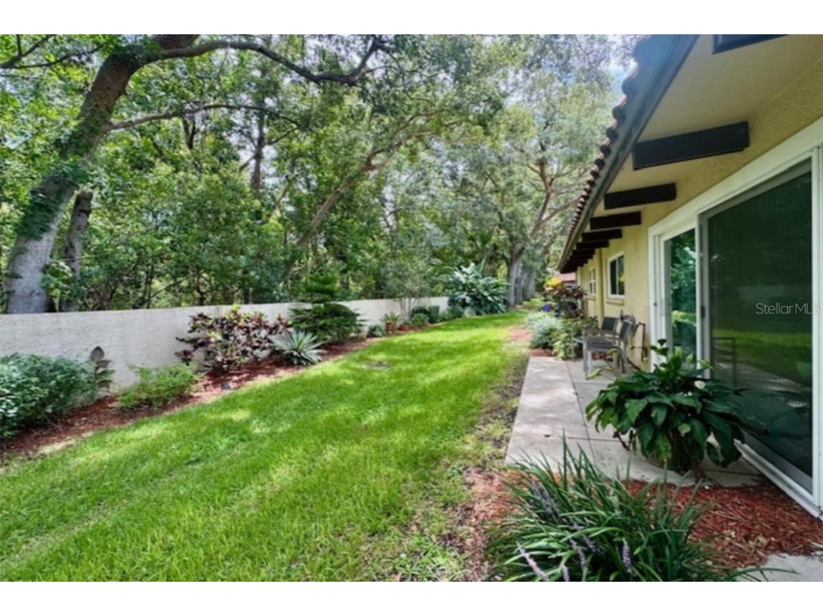 1701 Pinehurst Road #24B Dunedin FL 34698 TB8403898 image31