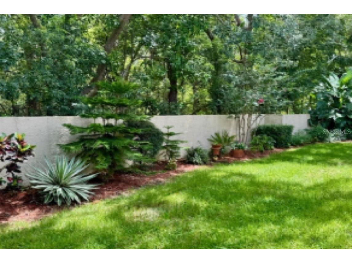 1701 Pinehurst Road #24B Dunedin FL 34698 TB8403898 image32