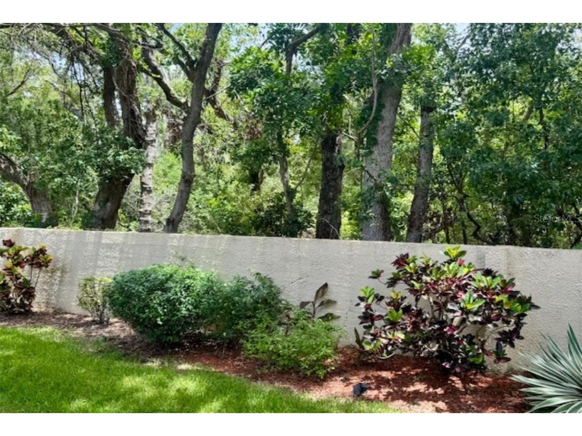 1701 Pinehurst Road #24B Dunedin FL 34698 TB8403898 image33