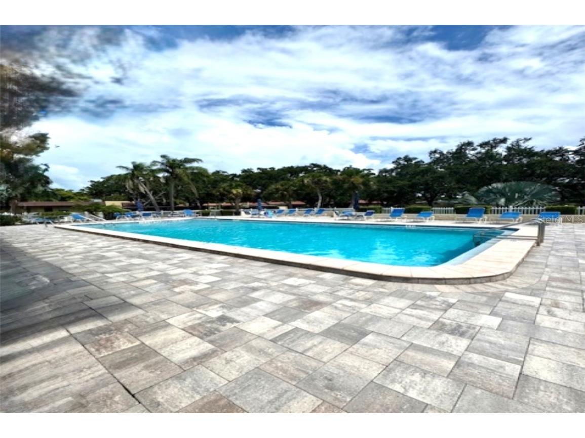 1701 Pinehurst Road #24B Dunedin FL 34698 TB8403898 image45