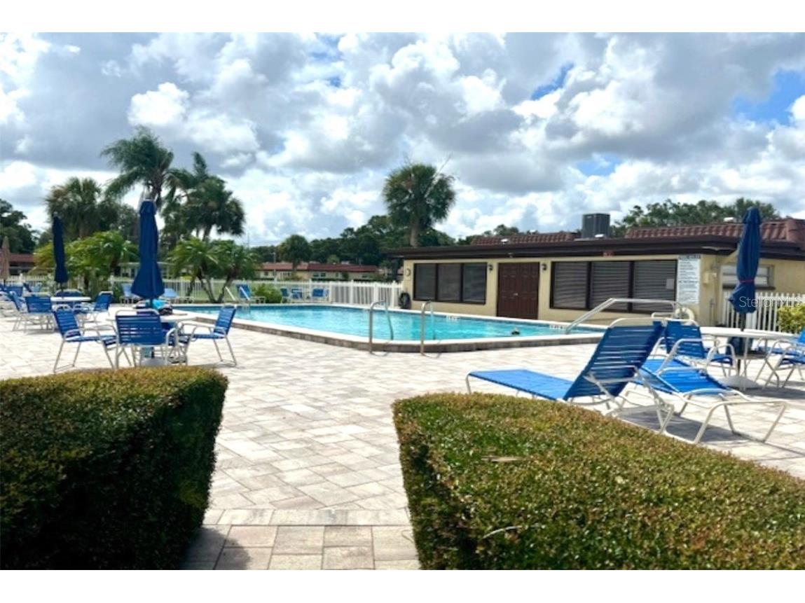 1701 Pinehurst Road #24B Dunedin FL 34698 TB8403898 image49