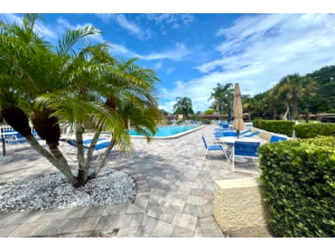 1701 Pinehurst Road #24B Dunedin FL 34698 TB8403898 image50