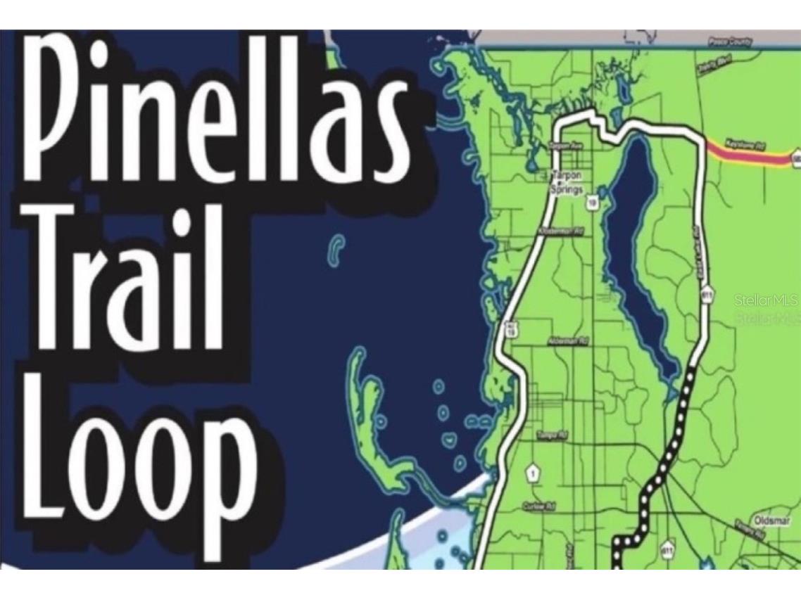 1701 Pinehurst Road #24B Dunedin FL 34698 TB8403898 image53