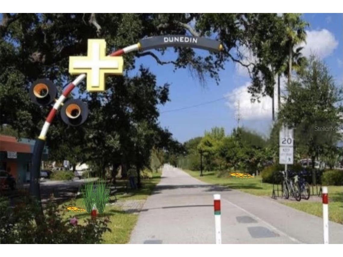 1701 Pinehurst Road #24B Dunedin FL 34698 TB8403898 image54