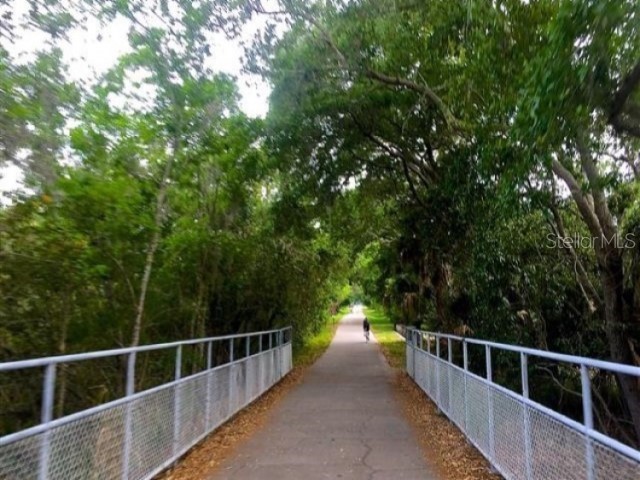 1701 Pinehurst Road #24B Dunedin FL 34698 TB8403898 image57