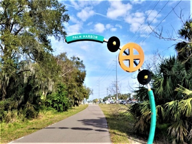 1701 Pinehurst Road #24B Dunedin FL 34698 TB8403898 image59