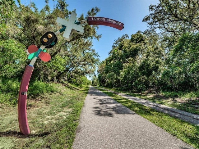 1701 Pinehurst Road #24B Dunedin FL 34698 TB8403898 image63