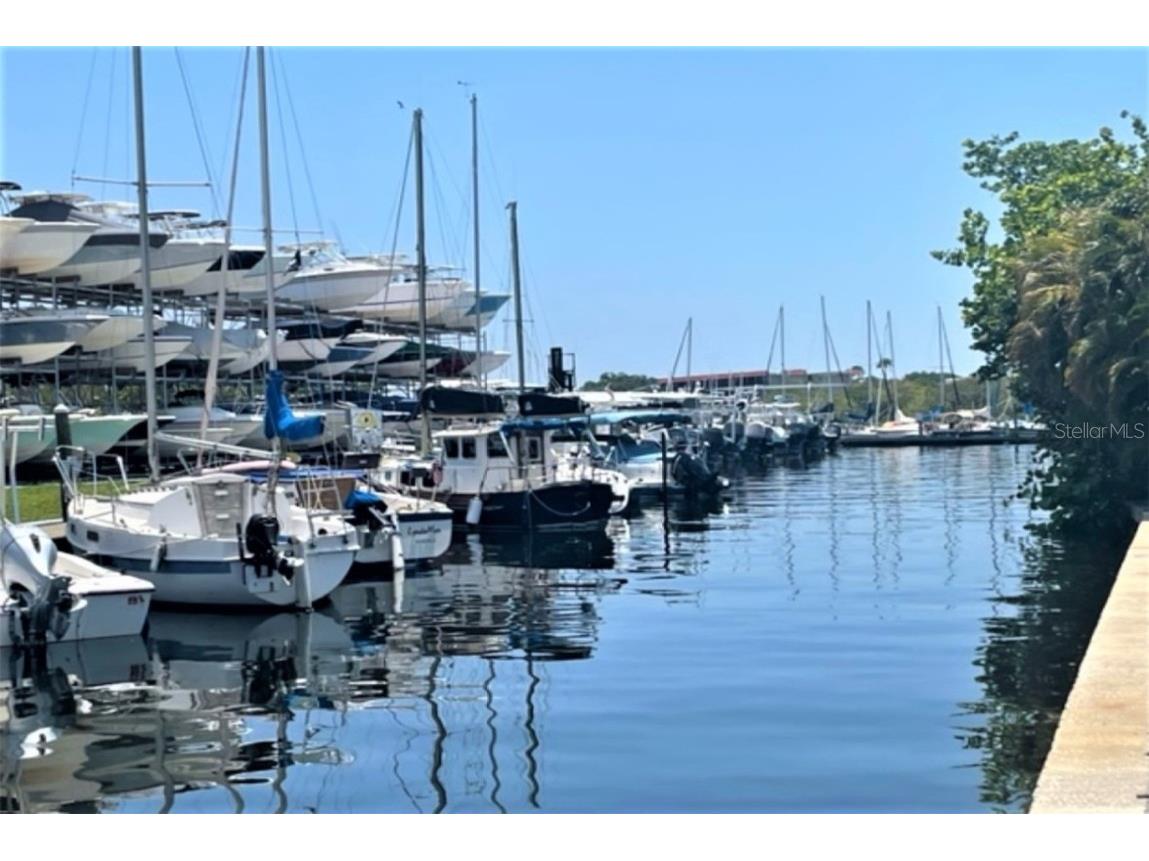 1701 Pinehurst Road #24B Dunedin FL 34698 TB8403898 image66